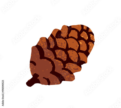Pine or fir cone. Pinecone with seeds. Strobile of cedar or firtree. Design element of autumn, winter nature. Floral decor. Christmas decoration. Flat isolated hand drawn vector illustration in white.