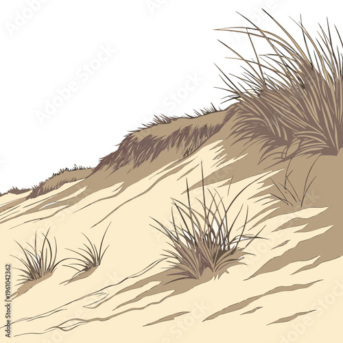 A sand dune with grass growing on it