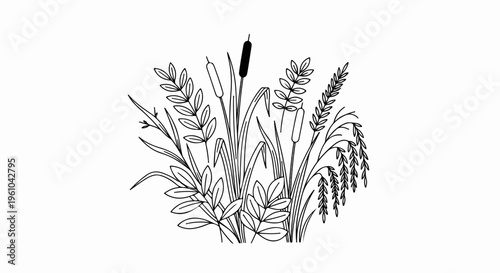 Black and white line drawing of various wetland plants