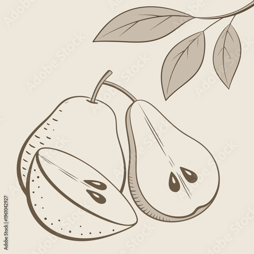 A drawing of a sliced pear with leaves