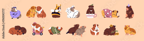 Set of baby guinea pigs. Couples of cute cavies eat, relax, hug and sleep together. Funny rodents stretch, yawn, have a rest. Little pets, adorable domestic animals. Flat isolated vector illustrations