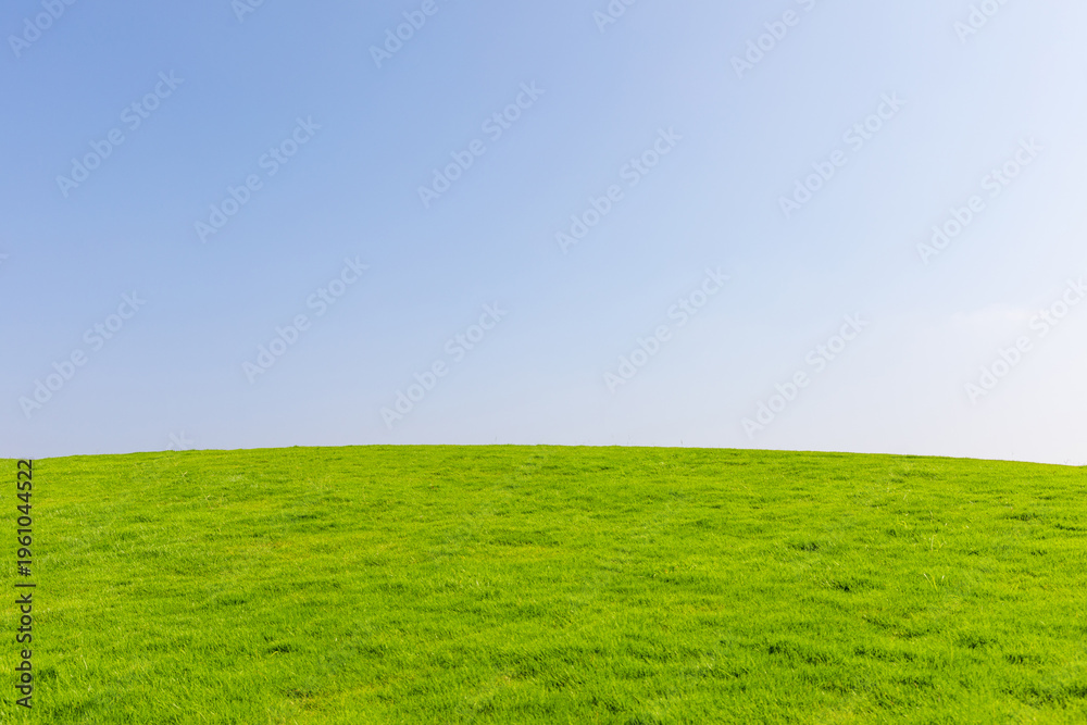 Fototapeta premium Summer Clear Sky Blue Sky Grassland Material