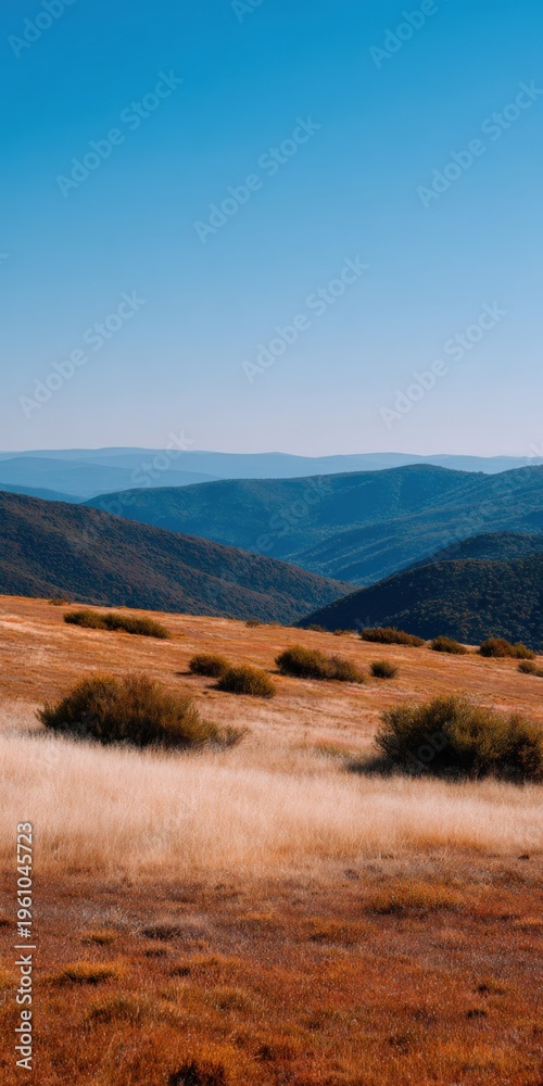Fototapeta premium Dry golden grassland with scattered shrubs and layered blue hills stretching to the horizon under a clear sky