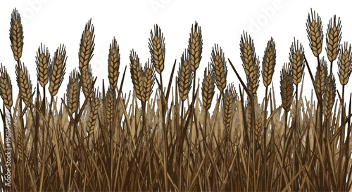 Golden wheat stalks stretching across peaceful field, minimalist harvest illustration
