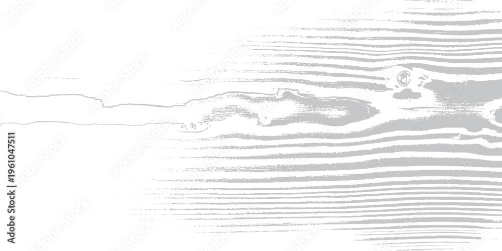 Obraz premium Wood grain texture in grey on white, abstract background for natural and distressed design elements, graphic texture