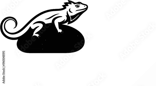 Stylized black and white reptile with coiled tail on a rock