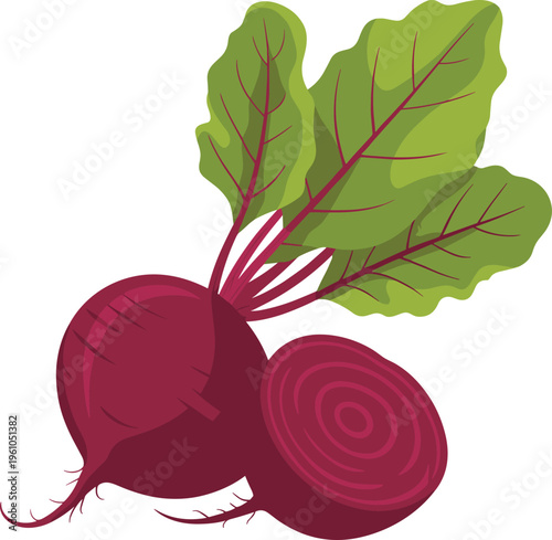 Fresh beetroot illustration with green leaves and cross-section for vegetable and healthy food designs.