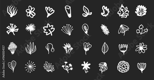 Botanical floral elements with hand drawn leaves and flowers in white line doodle style. Minimalist organic illustration set on dark background perfect for branding, packaging, and textile design.