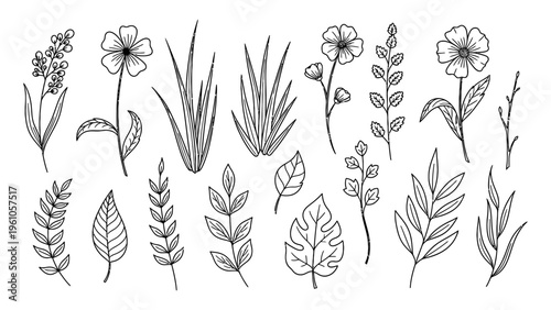 Hand drawn botanical line art collection with flowers and leaves for organic branding and wedding invitation design