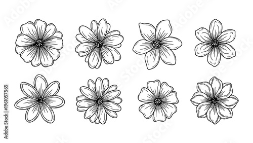 Hand drawn botanical flower line art collection for minimalist floral design and wedding stationery