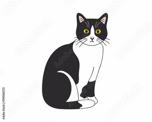 A charming black and white cat sits calmly facing forward