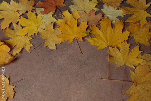 Autumn Maple Leaves on Brown Background