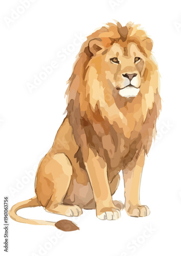 Watercolor-style majestic lion illustration, king of beasts, african wildlife safari animal／水彩　ライオン