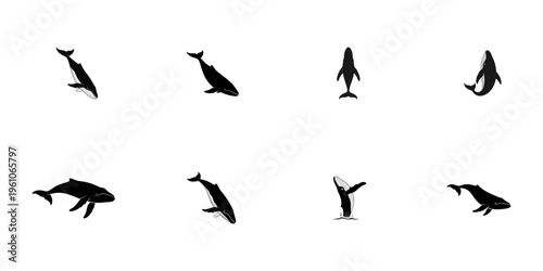 Eight Black Whale Silhouettes in Various Poses on White Background humpback whale sperm whale