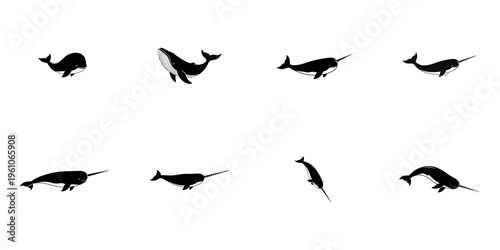 Collection of Black Silhouette Whales and Narwhals with Tusk whale silhouette narwhal silhouette