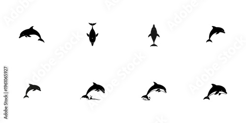 Eight Silhouette Dolphins in Various Poses with Transparent Background animal marine