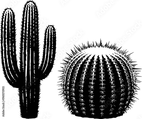 Black Silhouette of Saguaro and Barrel Cactus with Sharp Spines White Background