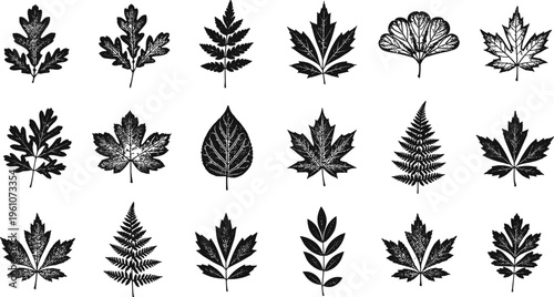Leaf silhouette icon set featuring various tree foliage shapes in black botanical nature design collection illustration pack