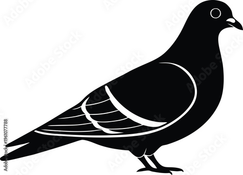 Black pigeon bird silhouette vector icon symbol graphic