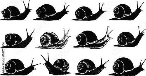 Snail silhouette collection vector illustration, garden mollusk icons set, crawling snail designs, nature wildlife elements, black snail shapes isolated on white background