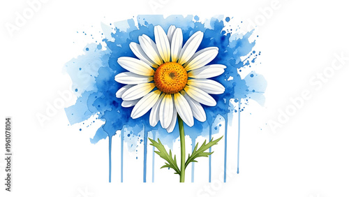 Daisy flower on Transparent background in watercolor art