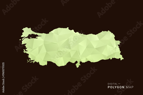 Turkey Map - Low poly polygon map in soft light green gradient on dark brown background, modern minimal geometric style, clean abstract vector illustration design.