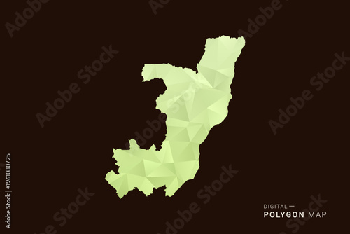 Congo Map - Low poly polygon map in soft light green gradient on dark brown background, modern minimal geometric style, clean abstract vector illustration design.