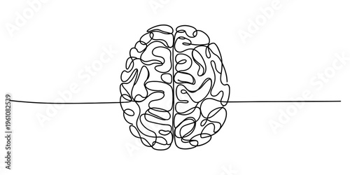 Brain divided in two by a line, symbolizing duality and balance
