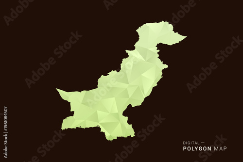 Pakistan Map - Low poly polygon map in soft light green gradient on dark brown background, modern minimal geometric style, clean abstract vector illustration design.