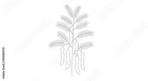 Detailed Illustration of a Fern Plant.
