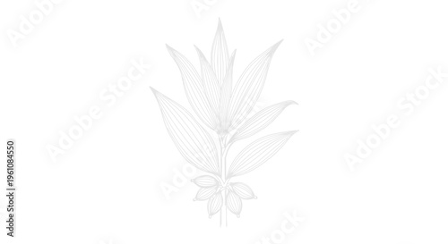 Crystal Clear Ice Formation Structure.