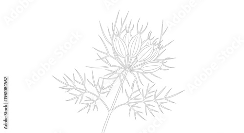 Detailed drawing of a dandelion flower.