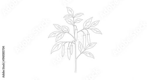 Detailed drawing of a plant stem.