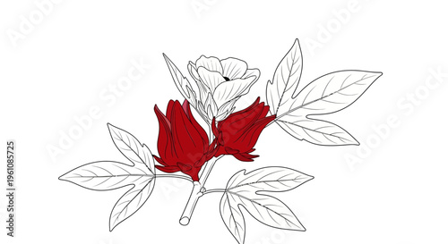 Detailed drawing of red roses.