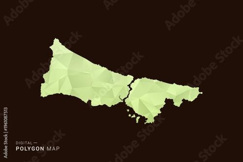 Istanbul Map - Low poly polygon map in soft light green gradient on dark brown background, modern minimal geometric style, clean abstract vector illustration design.