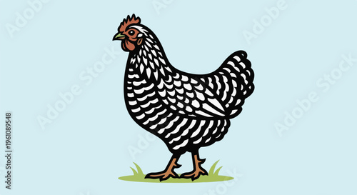 Stylized black and white hen with red comb stands on grass