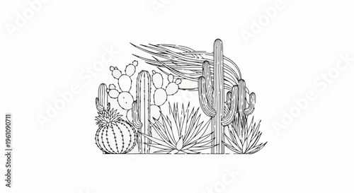 Stylized desert scene with various cacti and agaves in a graphic line art style