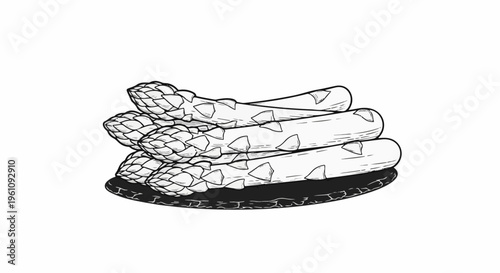 Stacked raw asparagus spears on a dark plate, detailed sketch