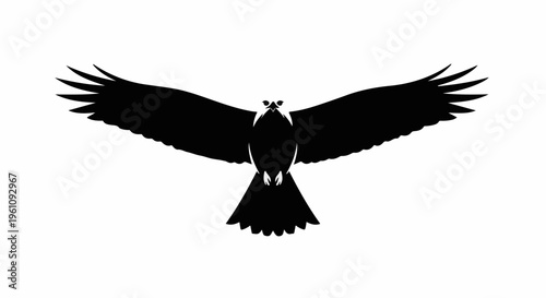 Silhouette of a majestic bird with wings spread wide in flight