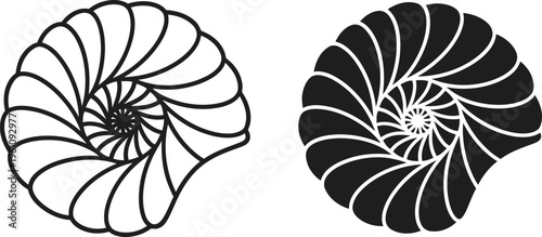 Nautilus shell spiral outline and solid shape vector
