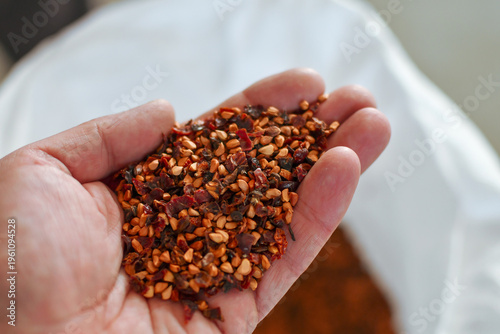 Hand holding dried rosehip seeds in industrial processing facility with bulk raw material in background