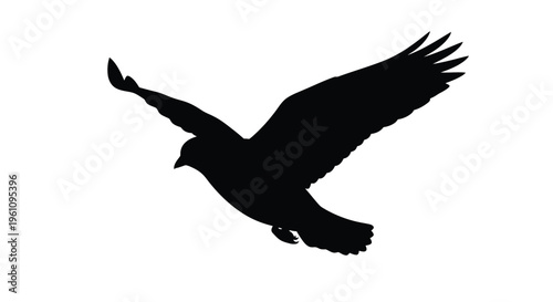 A silhouetted bird with outstretched wings soars through the air