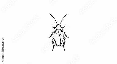 Simple line art illustration of a cockroach from above