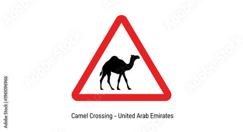 Distinctive red triangle warning sign indicating camel crossing ahead, a common traffic hazard alert found in desert regions, promoting road safety for drivers