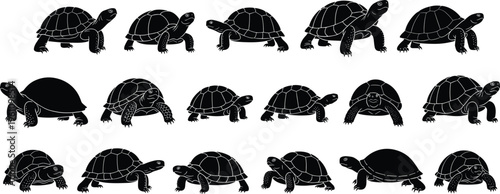 Collection of Turtle and Tortoise Silhouettes Isolated on White Background Set of Black Reptile Icons for Nature and Wildlife Design