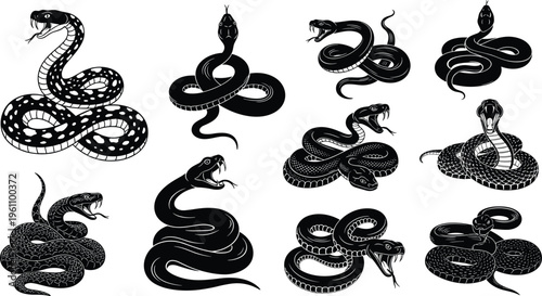 Set of snake silhouettes cad drawing flat vector illustration aggressive cobra and viper serpents coiled and striking for tattoo design