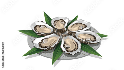 Half a dozen fresh oysters on the half shell arranged on a grey plate with green decorative leaves on a white background.