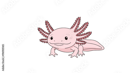 Cute pink axolotl salamander with its characteristic external gills swimming against a plain white background.