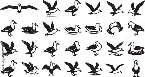 Seabird and Albatross Vector Silhouette Icon Collection.