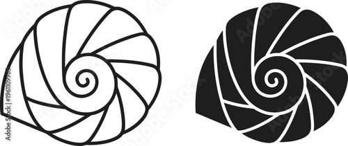 Nautilus shell spiral patterns black and white